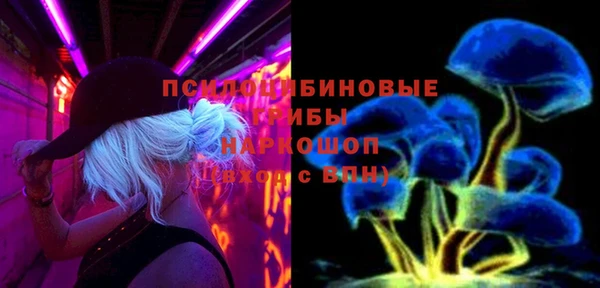 прущая мука Бородино