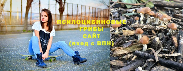 дживик Бронницы