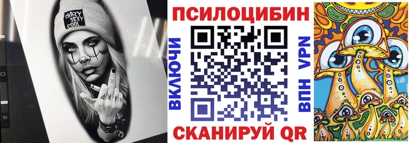 Псилоцибиновые грибы GOLDEN TEACHER наркотики Дмитриев